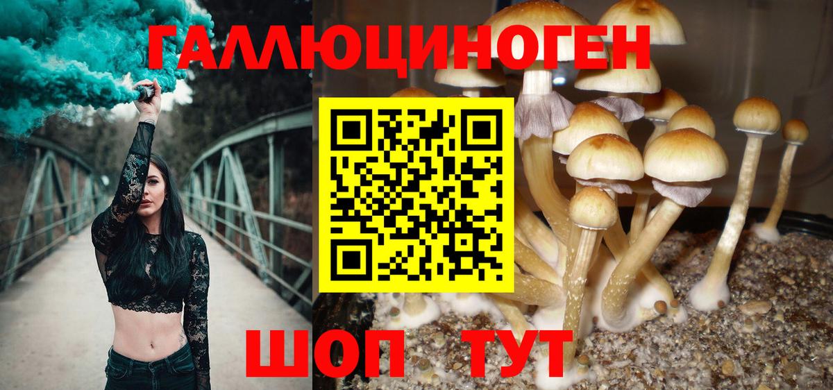 Псилоцибиновые грибы Magic Shrooms  Псилоцибиновые грибы Psilocybe  Вход с VPN  Дзержинский 
